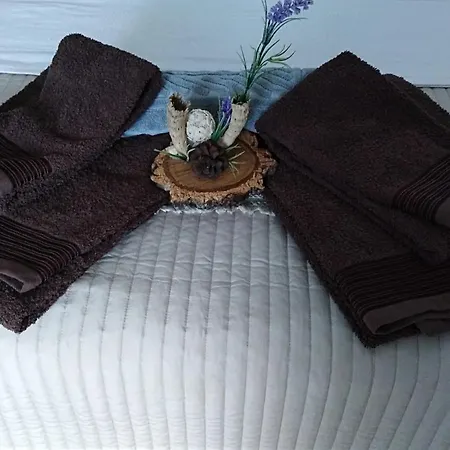 Homestay Casa Da Lameira Serra