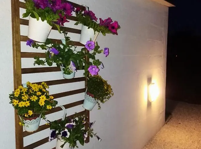 Quarto em Acomodações Particulares Casa Da Lameira *